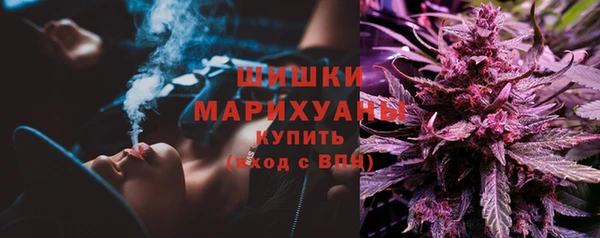 прущие крисы Мегион