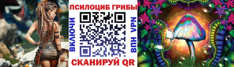 Купить где  Мышкин  Галлюциногенные грибы Psilocybine cubensis 
